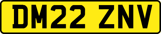 DM22ZNV