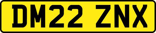 DM22ZNX
