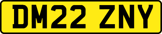 DM22ZNY