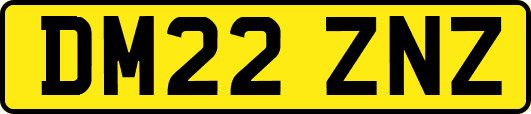 DM22ZNZ