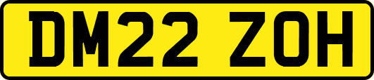 DM22ZOH