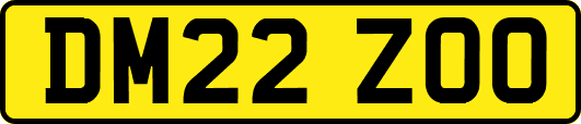 DM22ZOO