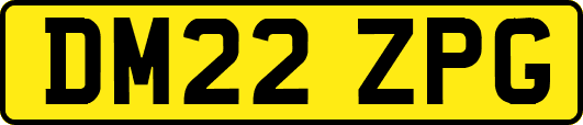 DM22ZPG
