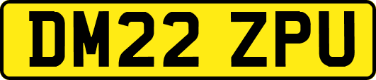 DM22ZPU