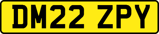 DM22ZPY