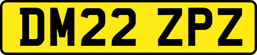 DM22ZPZ