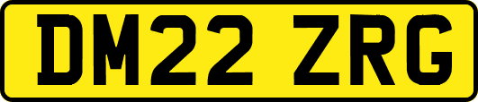 DM22ZRG