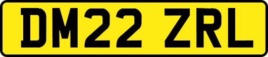 DM22ZRL