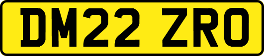 DM22ZRO