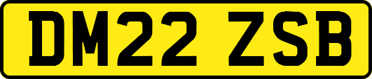 DM22ZSB