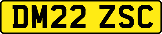 DM22ZSC