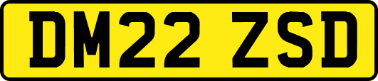 DM22ZSD