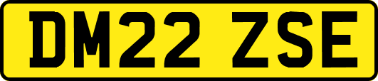DM22ZSE