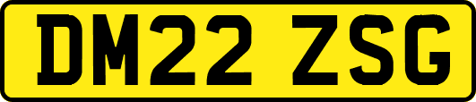 DM22ZSG