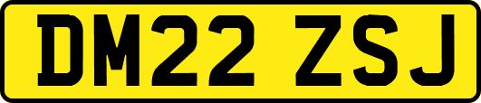 DM22ZSJ