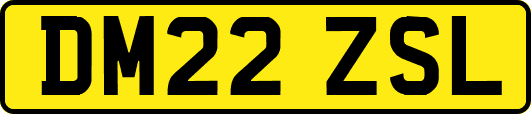 DM22ZSL