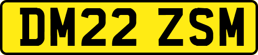 DM22ZSM
