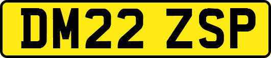 DM22ZSP