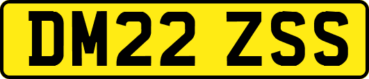 DM22ZSS
