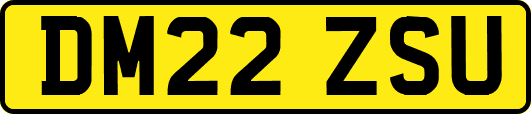 DM22ZSU