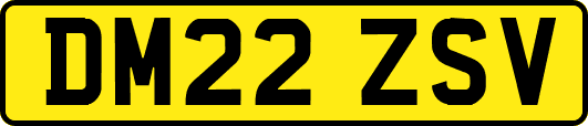 DM22ZSV