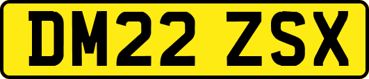 DM22ZSX