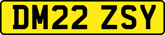 DM22ZSY