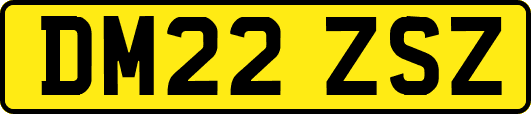 DM22ZSZ