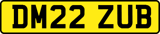 DM22ZUB