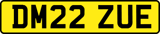 DM22ZUE