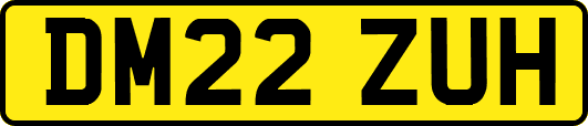 DM22ZUH