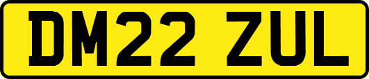 DM22ZUL