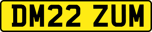 DM22ZUM