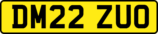 DM22ZUO
