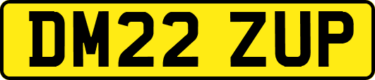 DM22ZUP
