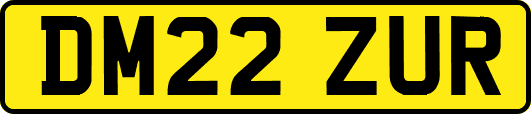 DM22ZUR