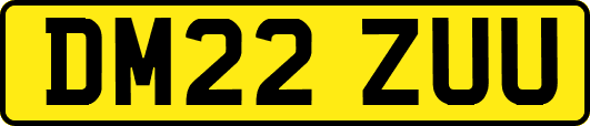 DM22ZUU