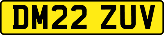 DM22ZUV