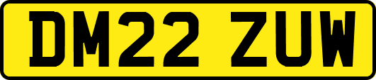 DM22ZUW