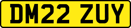 DM22ZUY