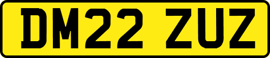 DM22ZUZ