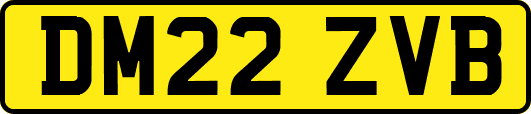 DM22ZVB