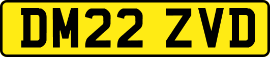 DM22ZVD
