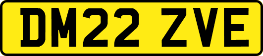 DM22ZVE