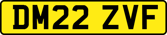 DM22ZVF