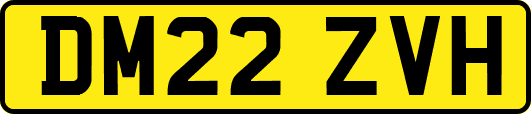 DM22ZVH