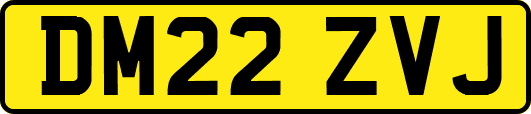DM22ZVJ
