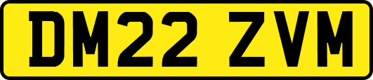 DM22ZVM