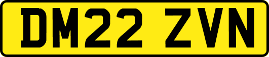 DM22ZVN