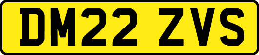 DM22ZVS